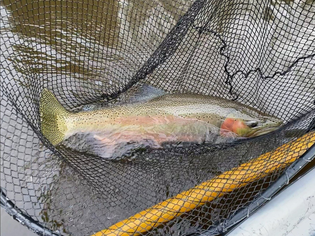 Pere Marquette River Lodge主图