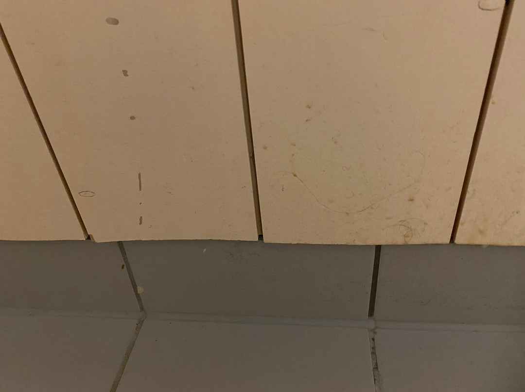 尔希克拉酒店主图