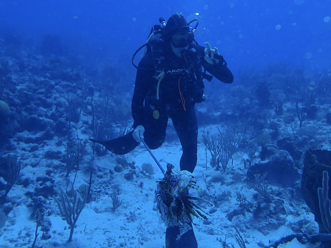 DiveCarib-英吉利海港必去景点