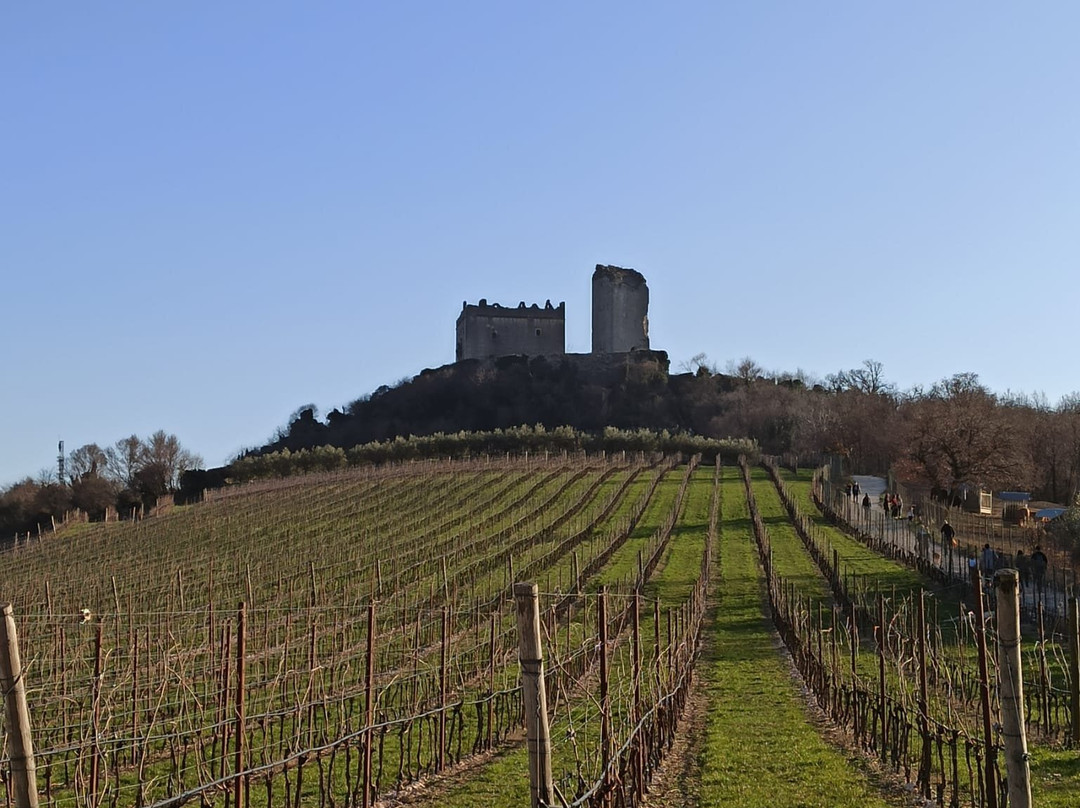 Castello Scaligero d'Illasi景点图片