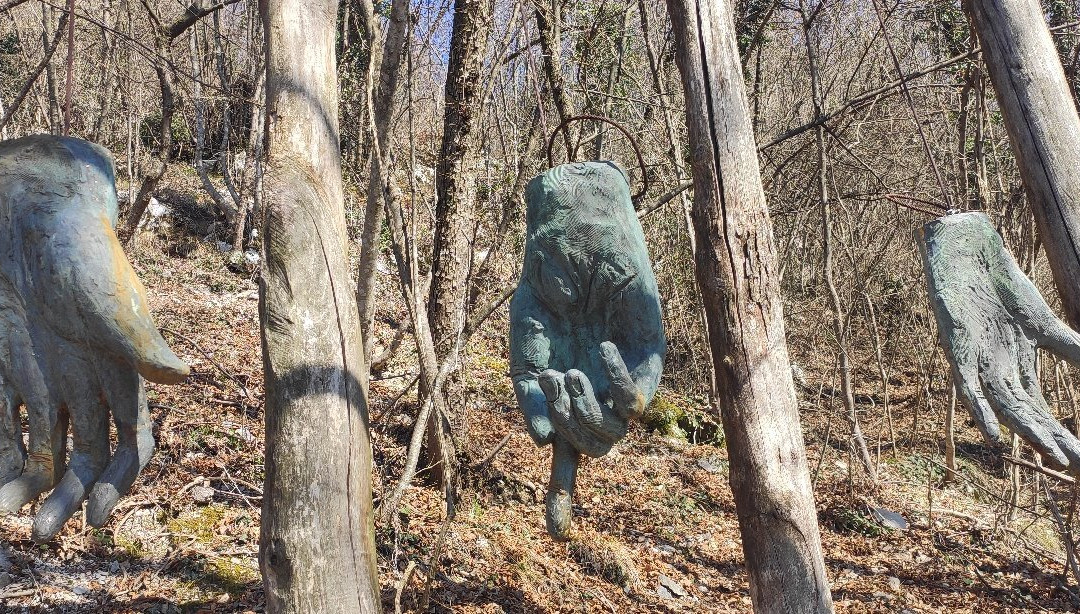 Sojo's Art and Nature Park景点图片