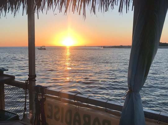 Paradise Tiki Tours-恩格尔伍德必去景点