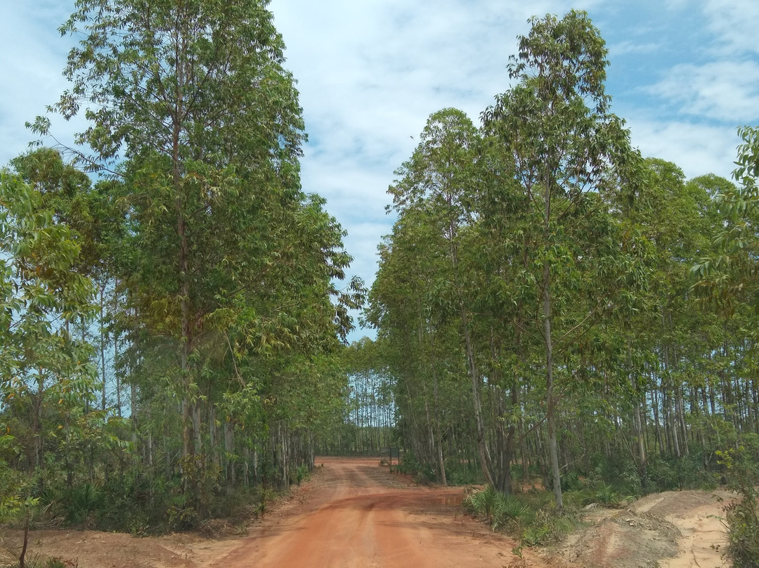 Cerrado Rupestre景点图片