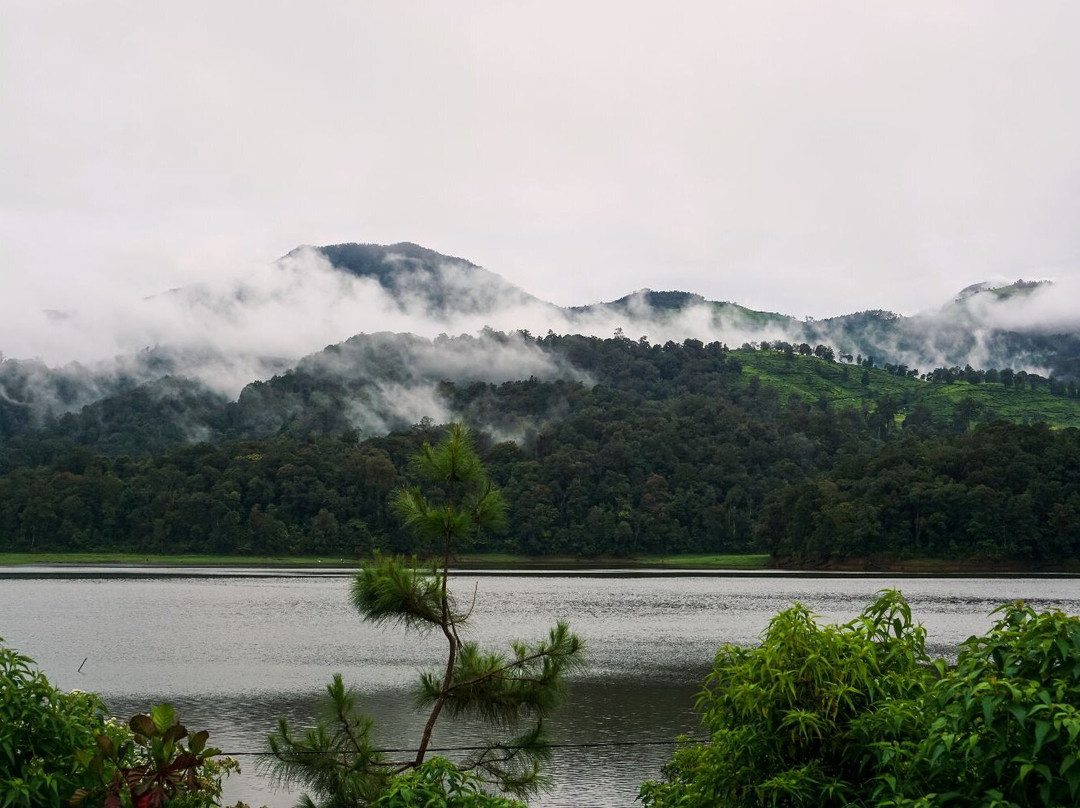 Patenggang Lake景点图片