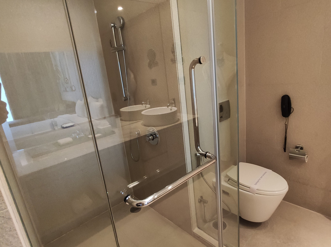 阿巴撒酒店主图