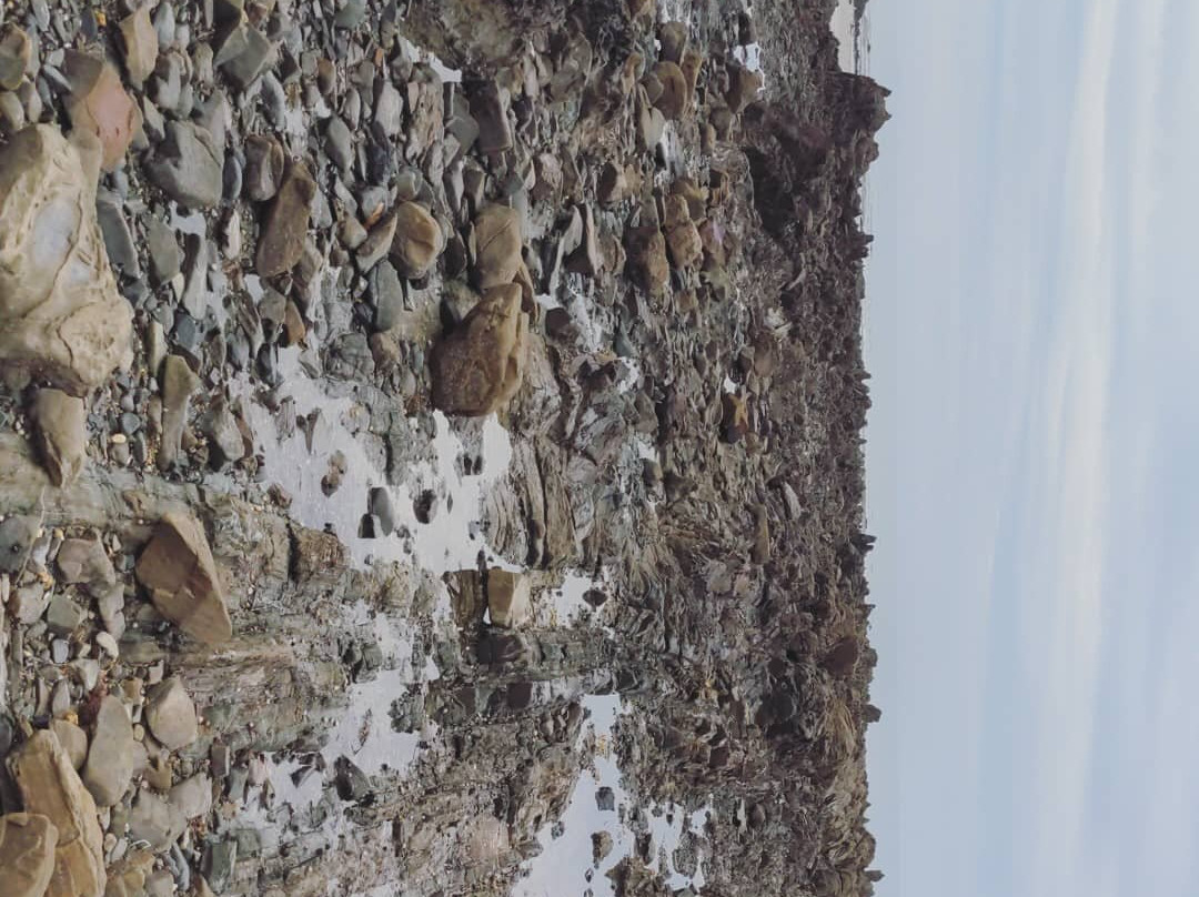 Mallacoota Coastal Walks-Mallacoota必去景点