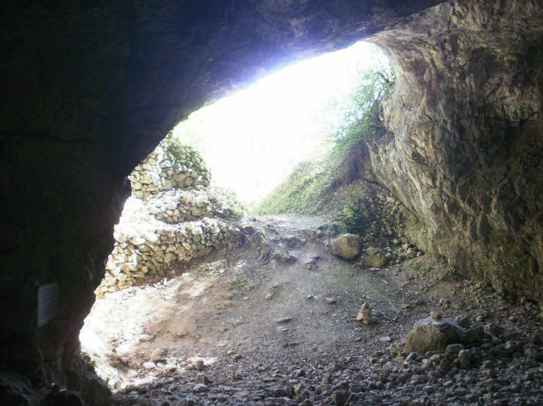 Szeleta-Barlang景点图片