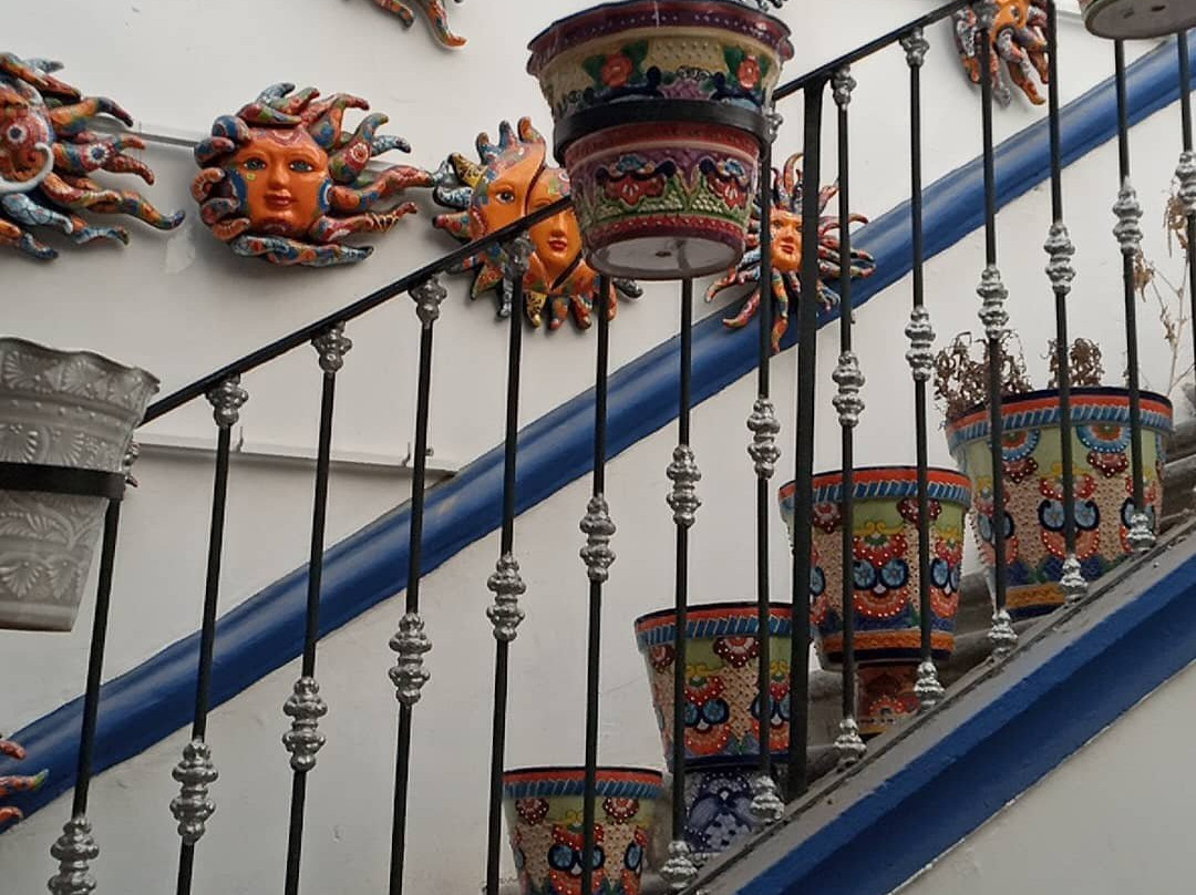 Callejón de los Sapos景点图片