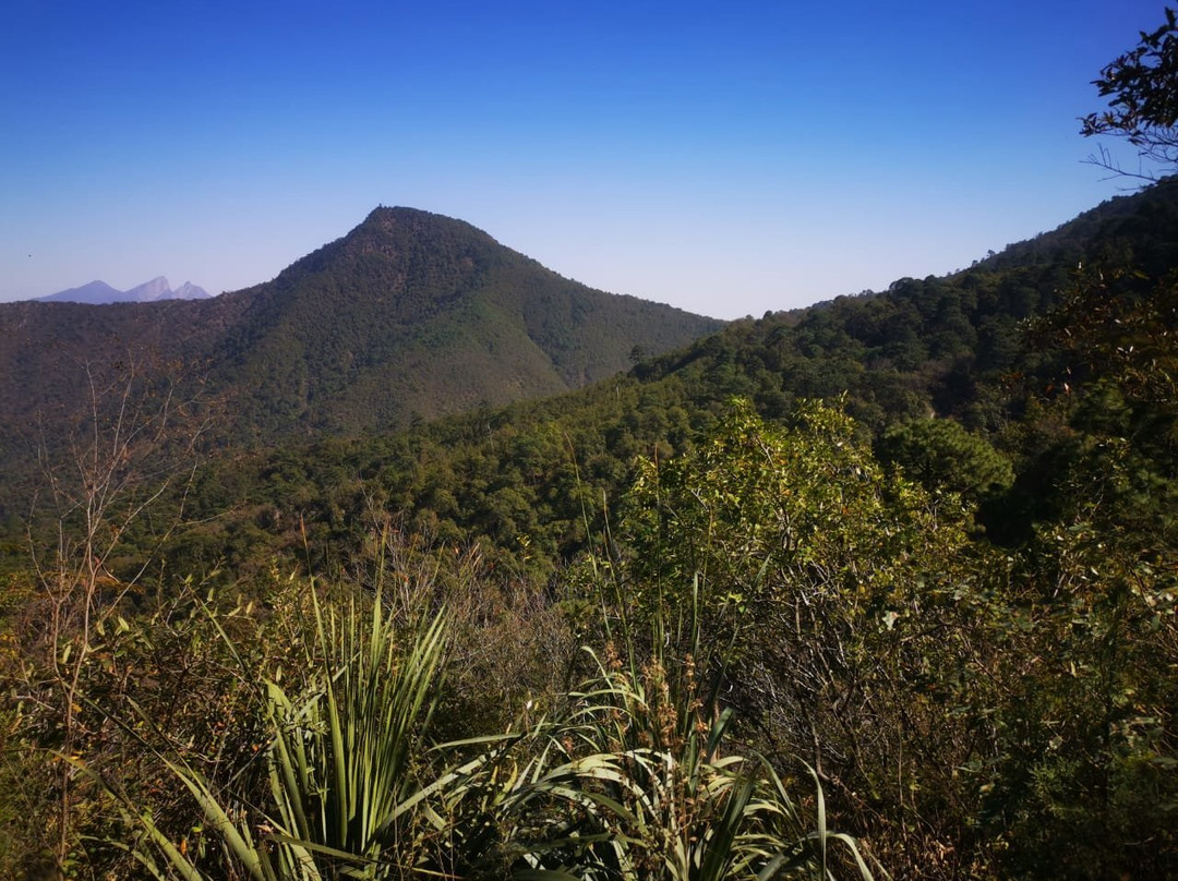 伊克罗杰克齐宾公园-圣佩德罗加尔萨加西亚镇必去景点