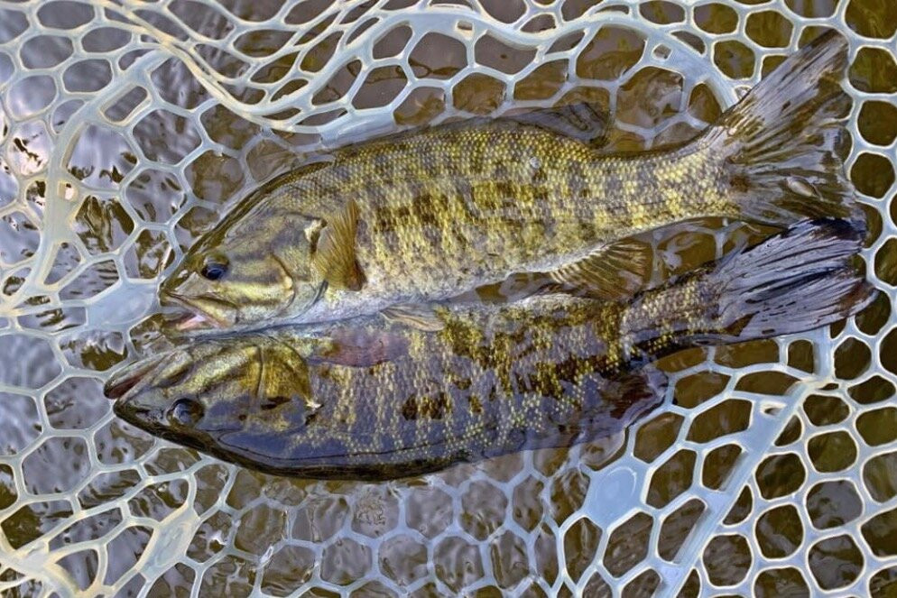 TwoBrothers Guide Service-Sylva必去景点