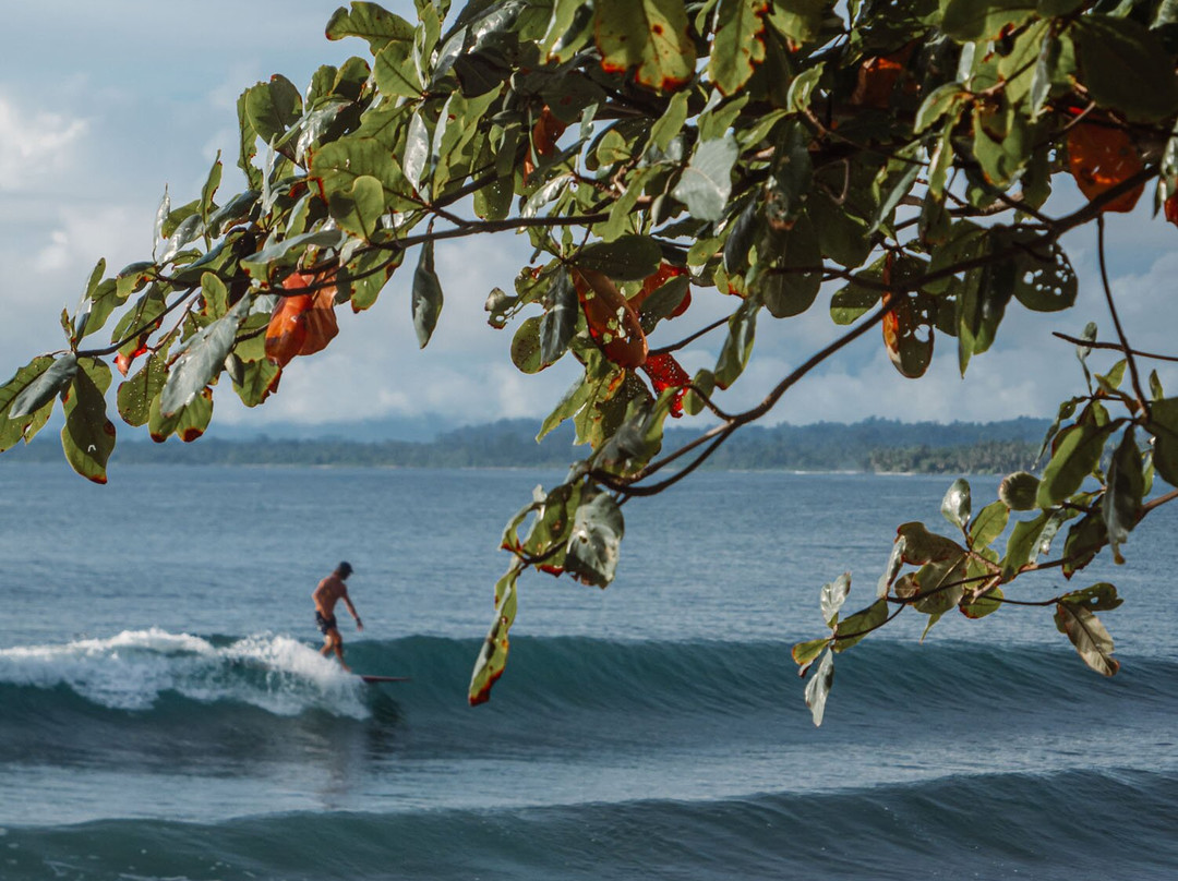 Driftwood Mentawai Surf Resort主图