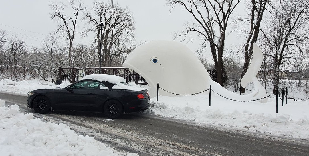 Foster Park-科科莫必去景点