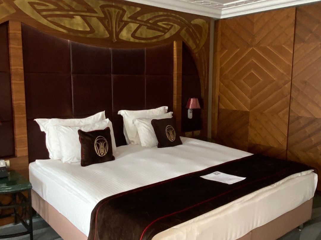 Warwick Ankara主图