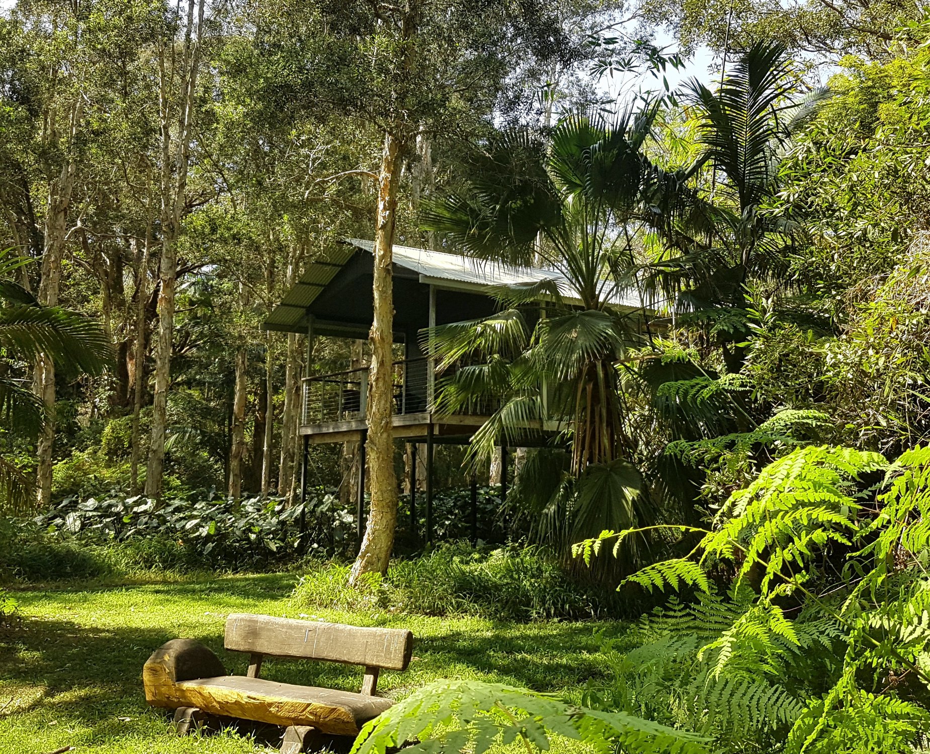 Treehouse Retreat at Diamond Waters-官方