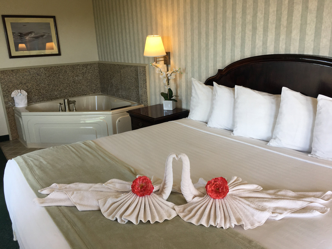 Emerald Dolphin Inn & Mini Golf主图