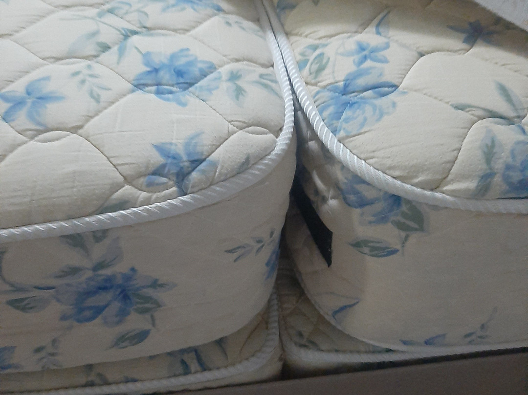 Plaza Milenium主图