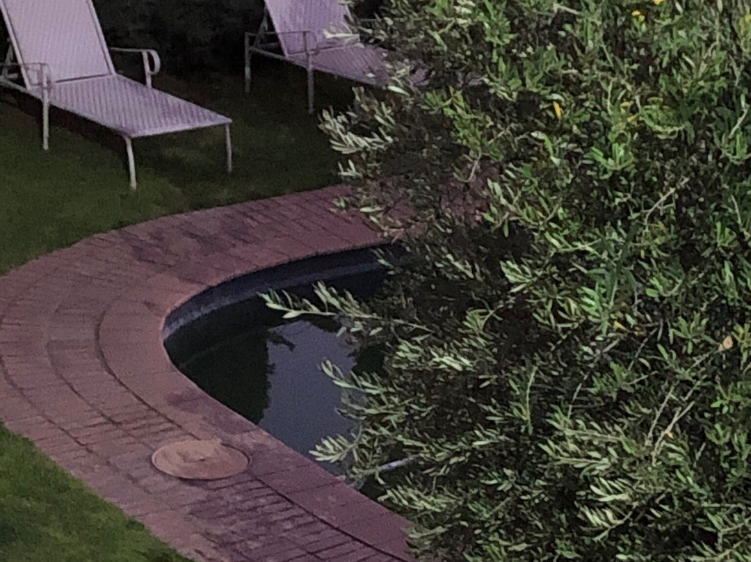 Transkaroo Country Lodge主图