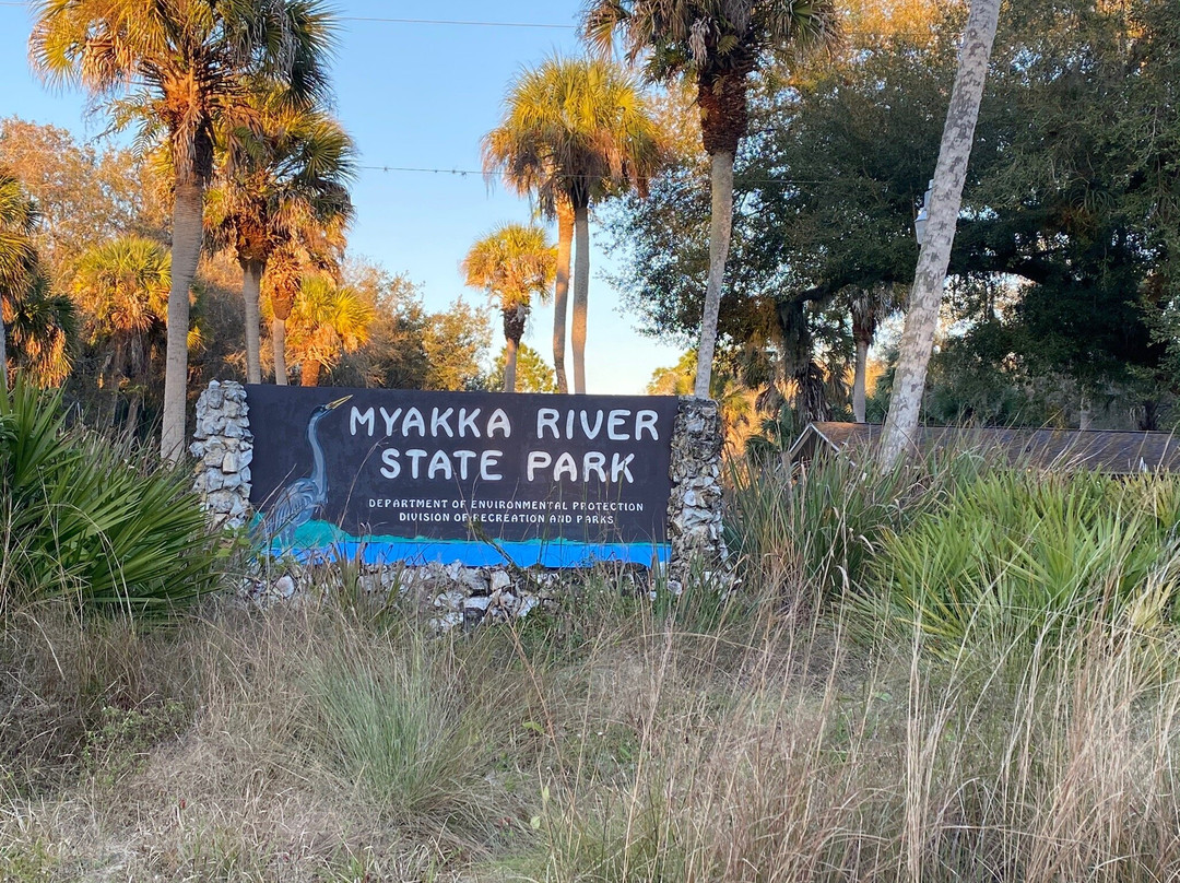 Myakka Canopy Walkway景点图片