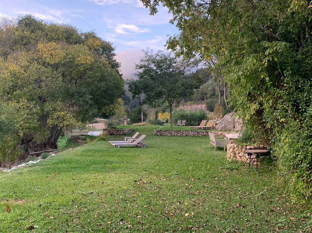 Agroturismo Son Viscos主图