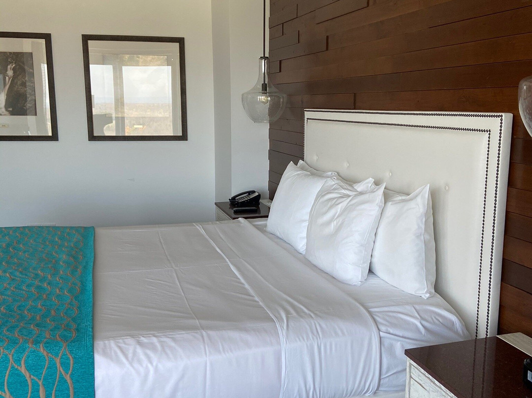 The Tower at Turning Stone主图