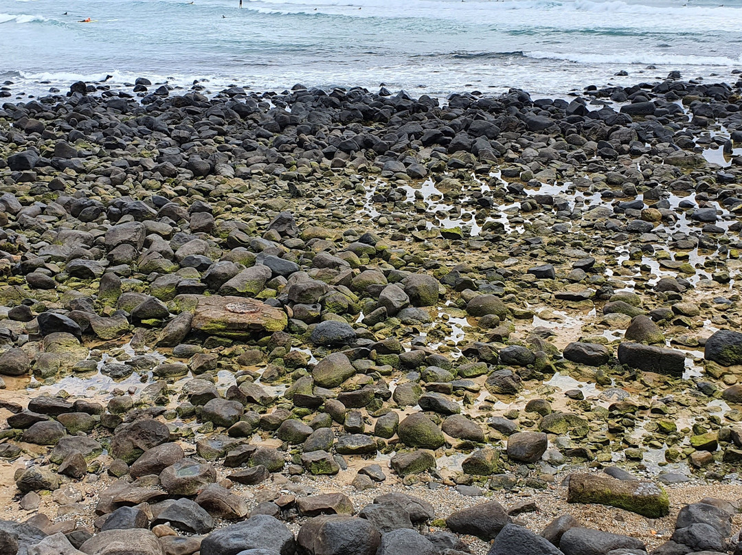 Burleigh Heads Rock Pools-伯利角必去景点
