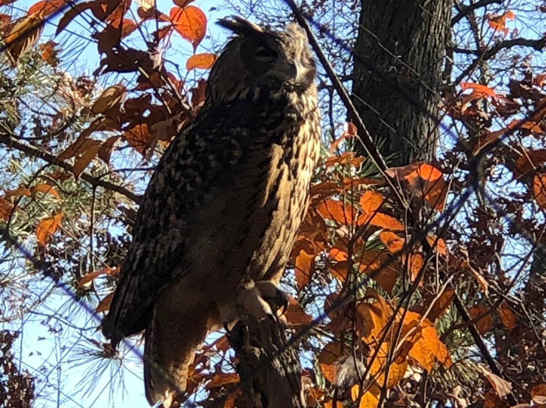 Potter Park Zoo-兰辛必去景点
