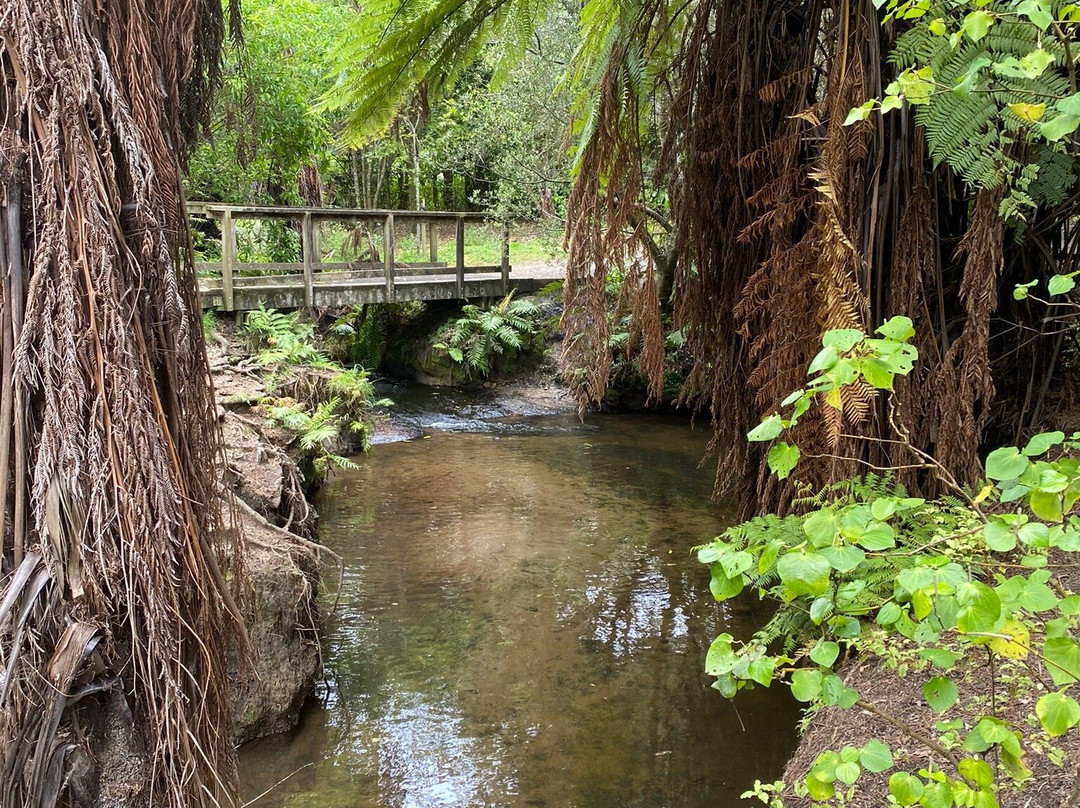 Johnson Reserve-陶兰加必去景点