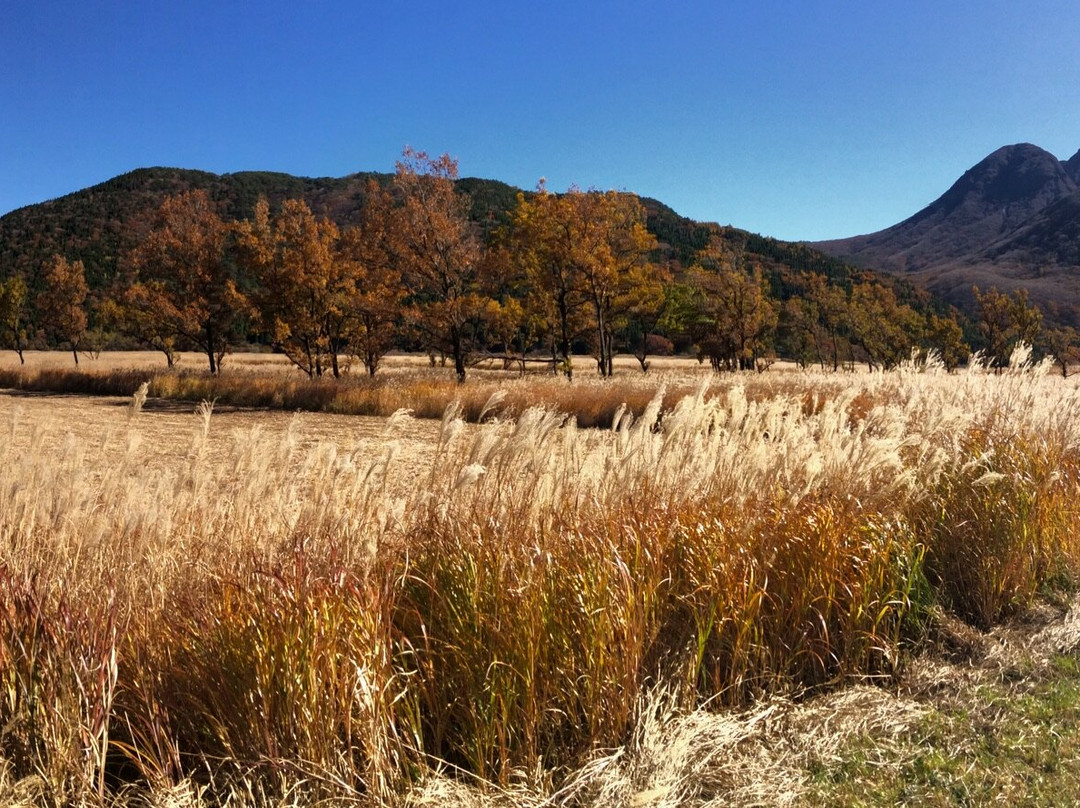 Yamanami Highway-大分县必去景点