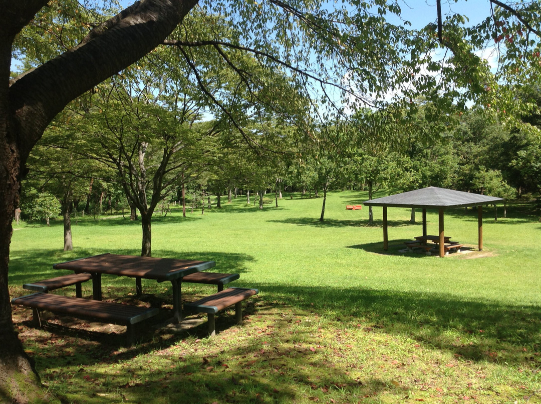 Azuma Sports Park-福岛市必去景点