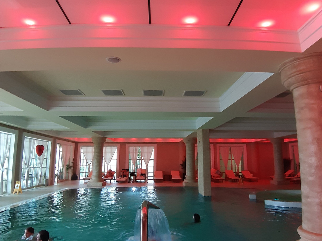 Hotel Splendid Conference & Spa Resort主图