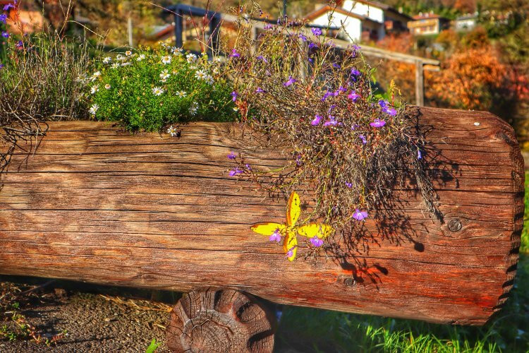 Museo del Paracarro-Canezza必去景点