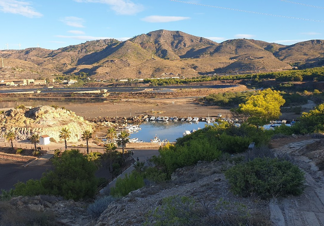 Puerto Pesquero de Portman景点图片
