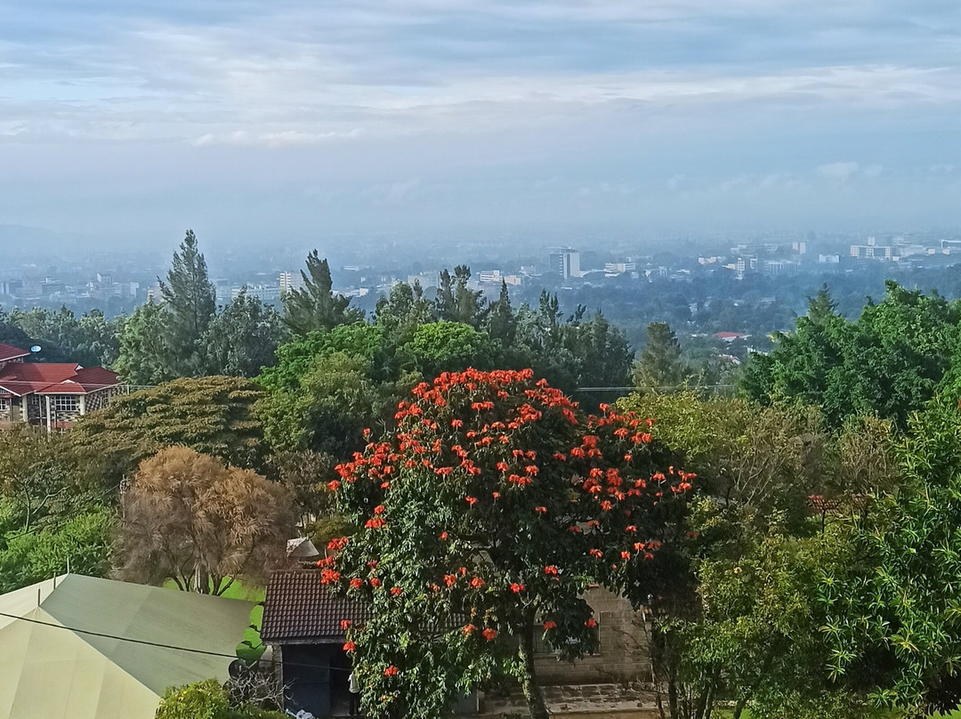 The Alps Hotel主图