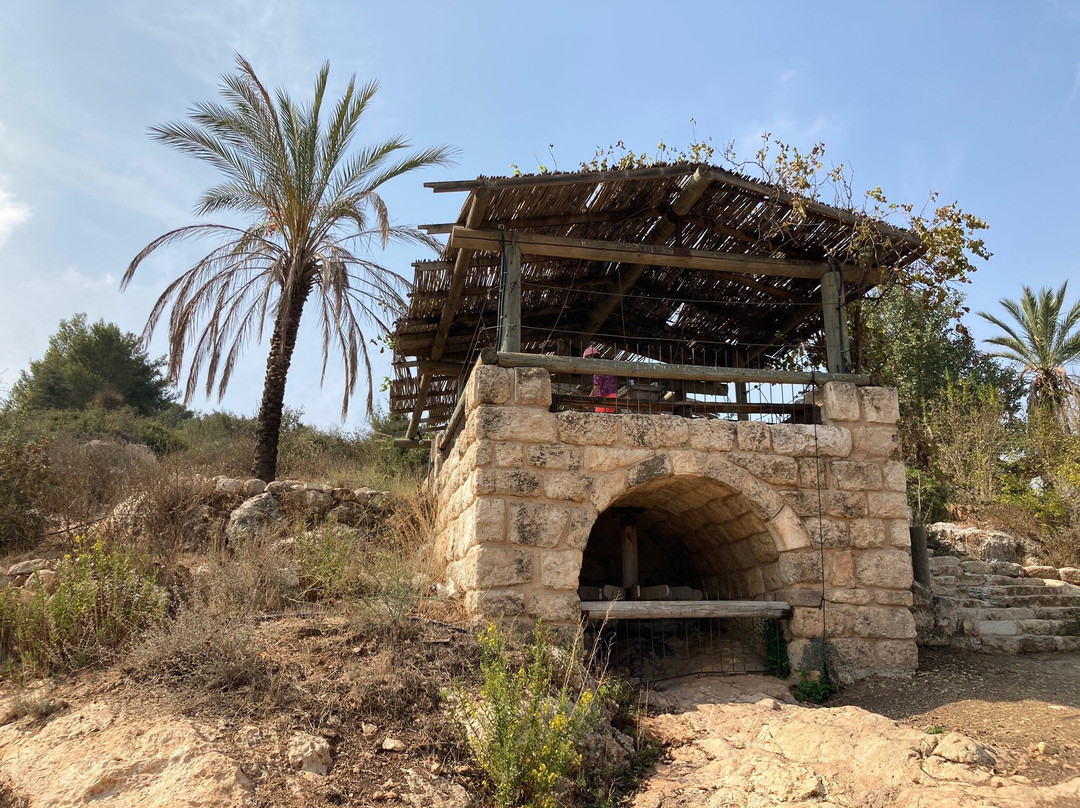 Neot Kedumim Biblical Landscape Reserve-Modiin必去景点
