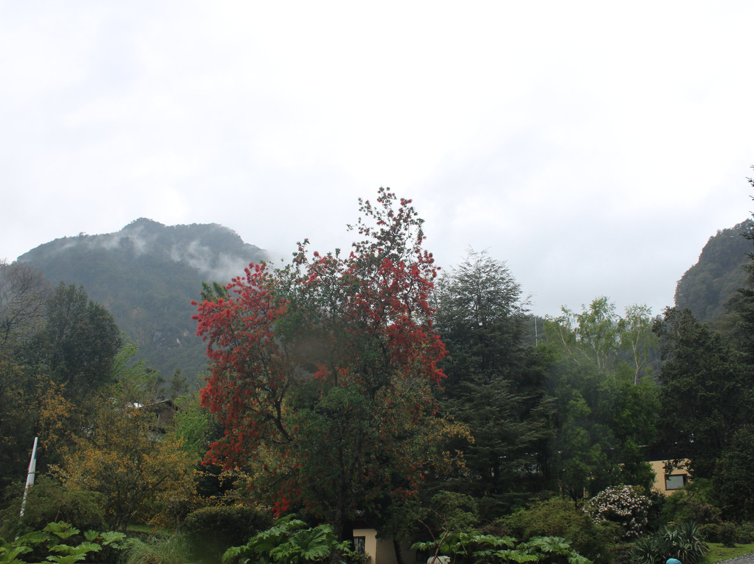 Parque Nacional Vicente Perez Rosales旅游攻略图片