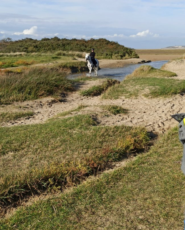 Dune de l'Authie景点图片