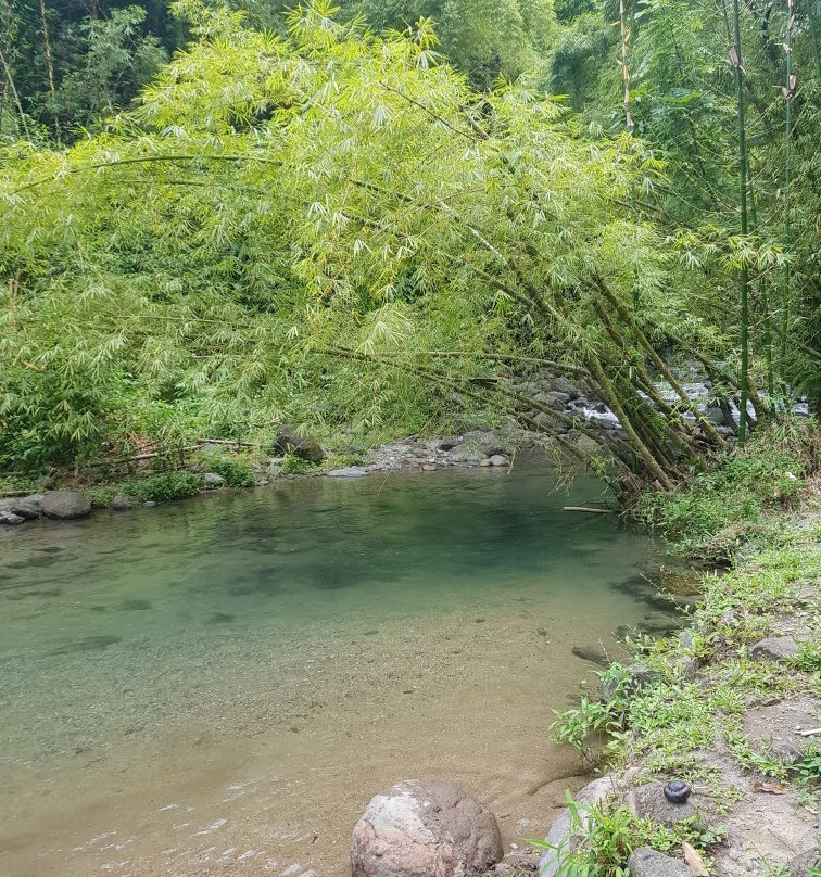 Foret Coeur Bouliki-Saint-Joseph必去景点