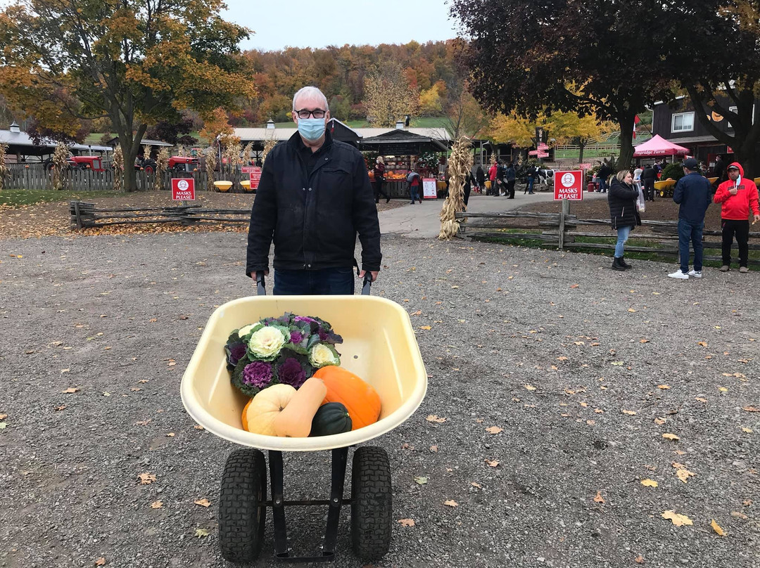 Springridge Farm-Milton必去景点