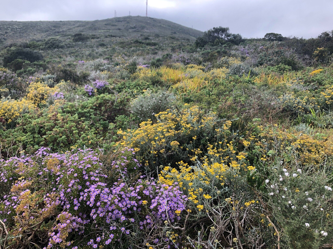 Tygerberg Nature Reserve-Parow必去景点