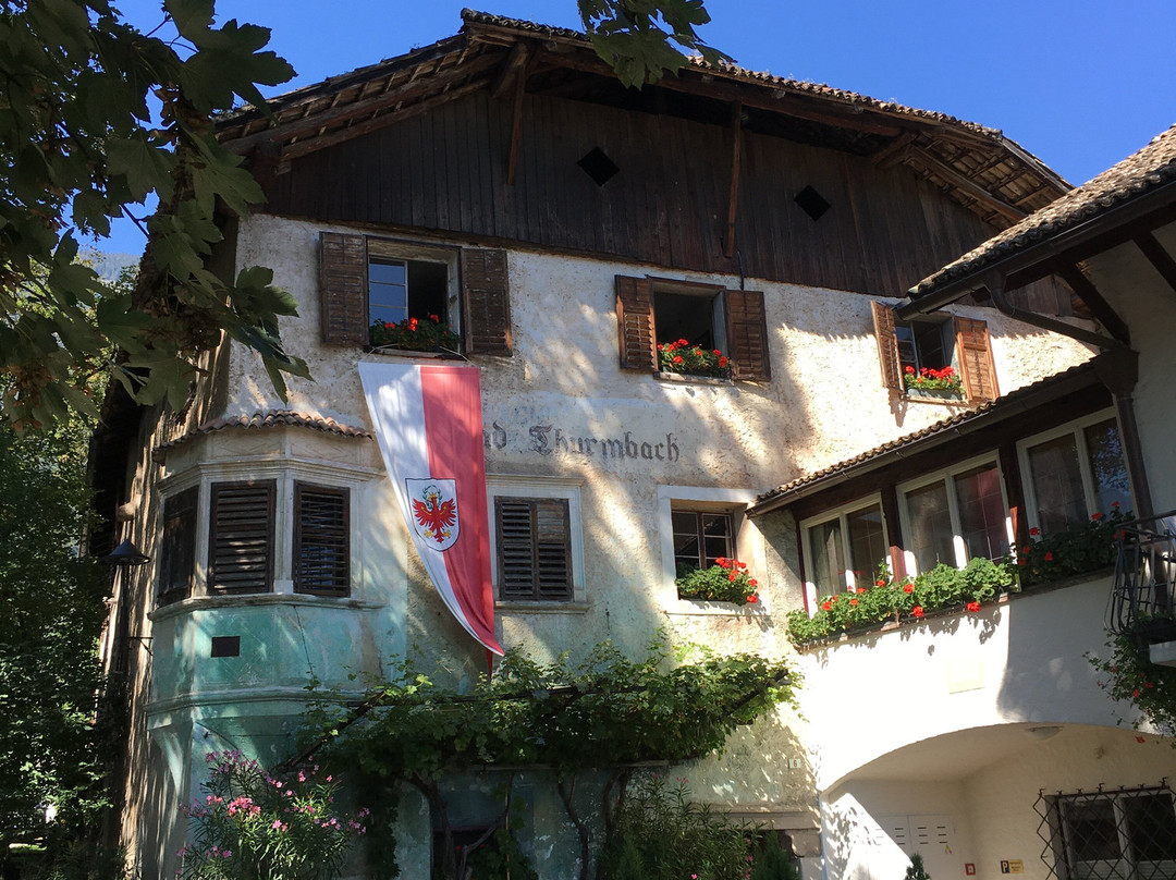 Landgasthof Bad Turmbach主图