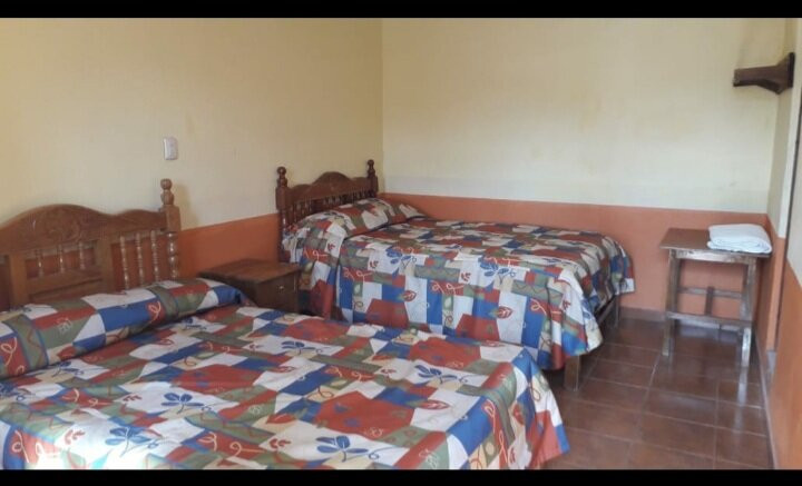 Real de Alamos主图