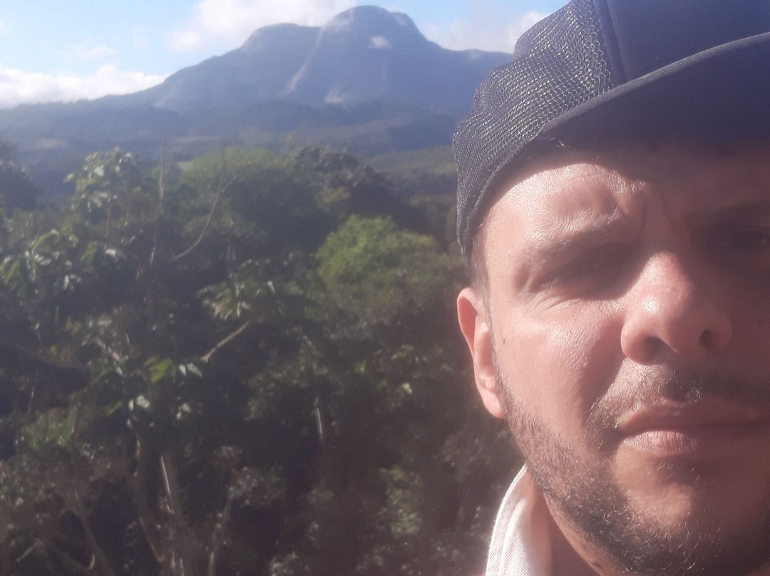 Hotel Eco da Floresta主图