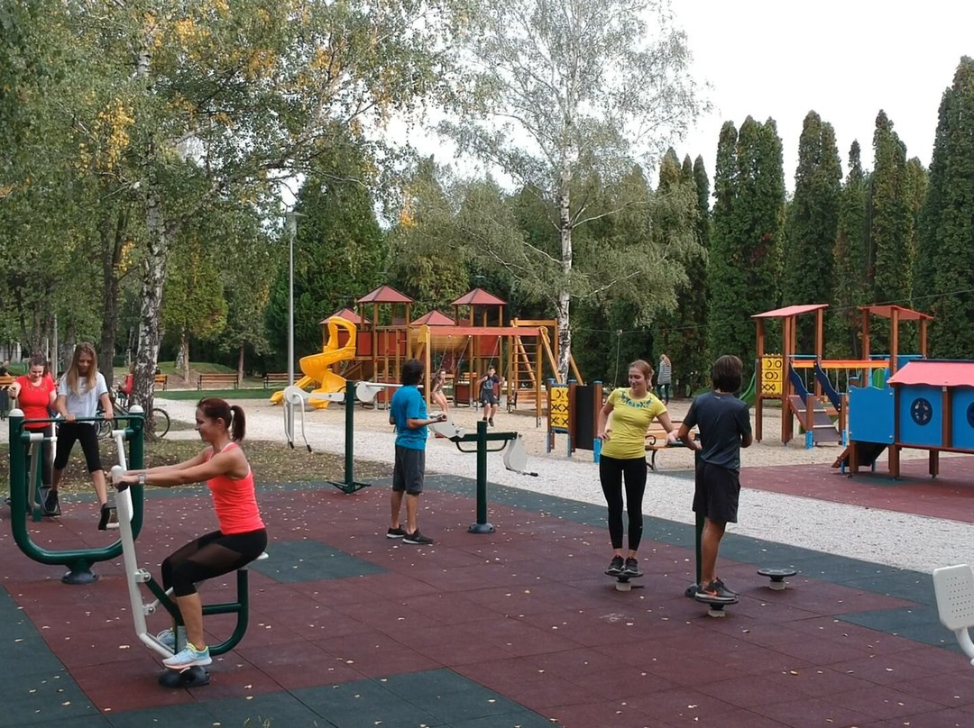 Mezokovesd旅游攻略图片