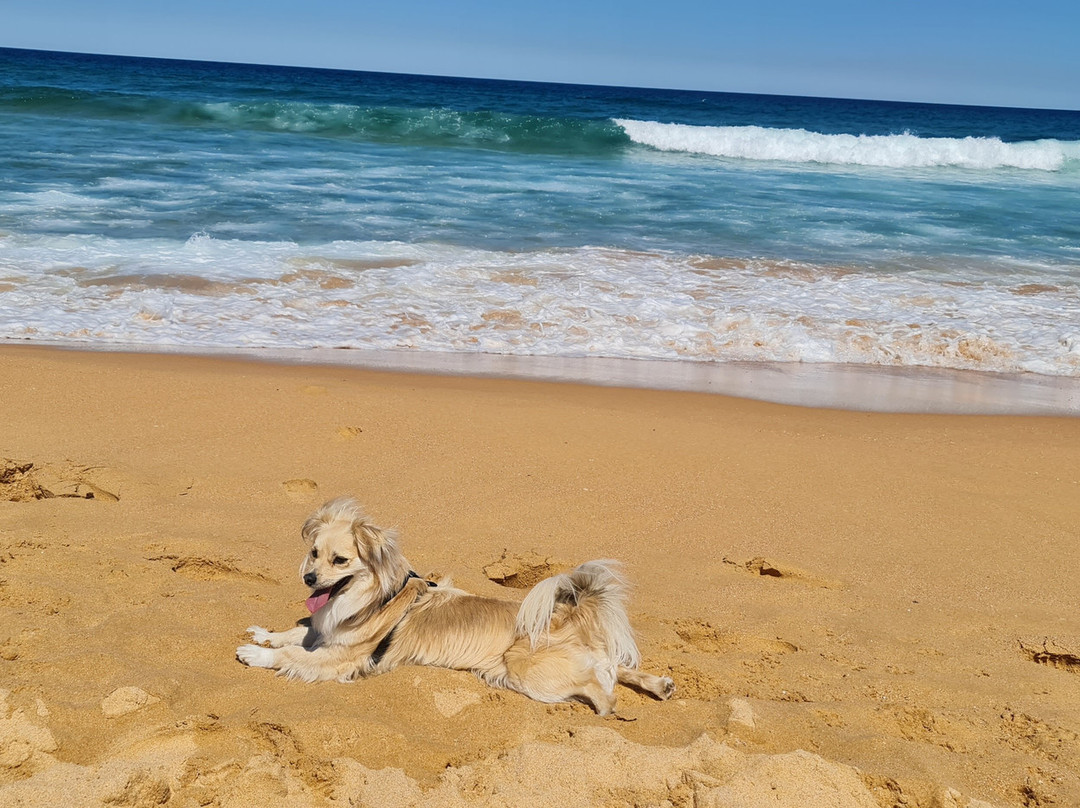 Buccaneer Motel主图