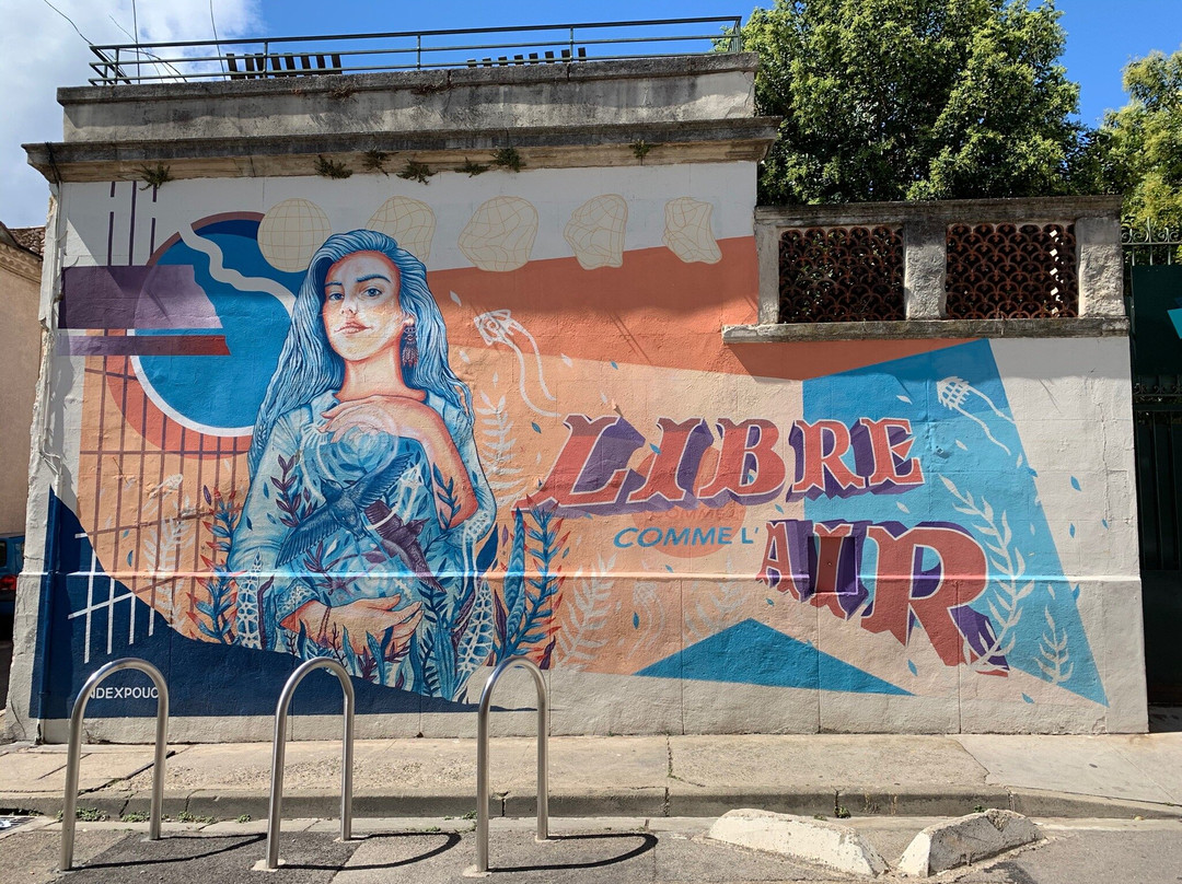 Nîmes Souvenirs-尼姆必去景点