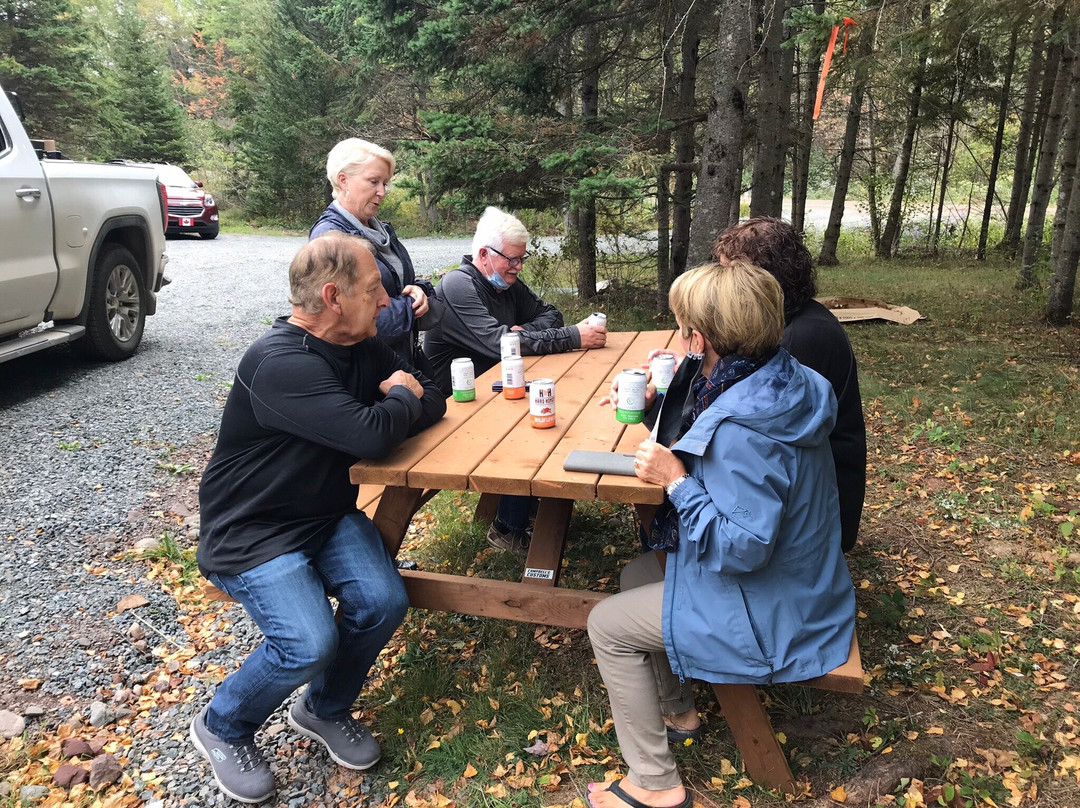 Hard Honey Beverage Company