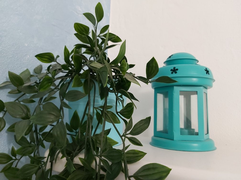 Affittacamere La Tortuga主图