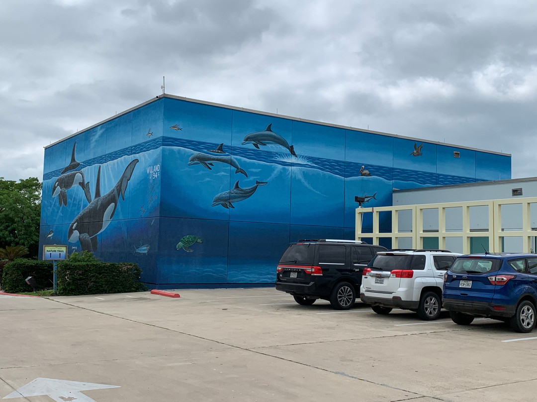 Wyland's Whaling Wall-南帕诸岛必去景点