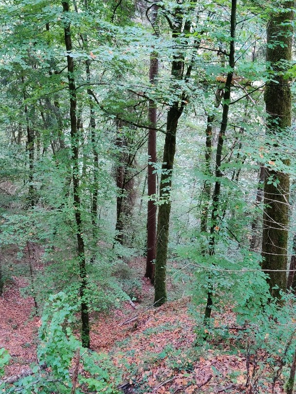 Wutachschlucht-Loffingen必去景点