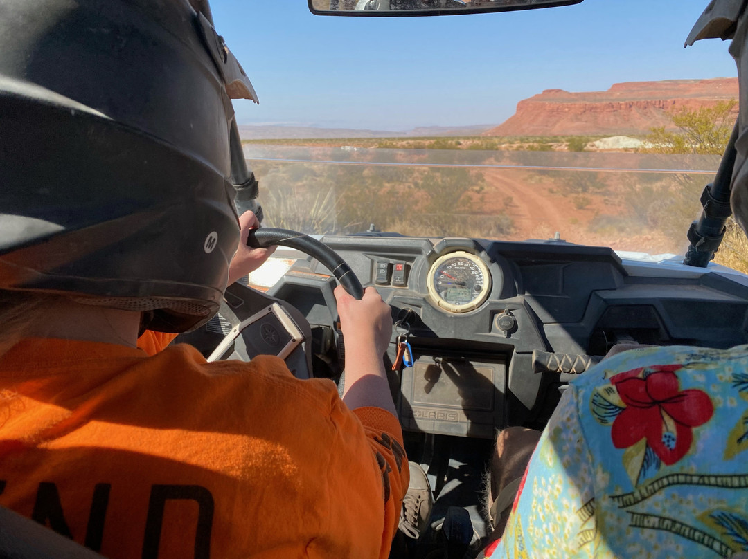 Coral Sand Adventures-哈里肯必去景点
